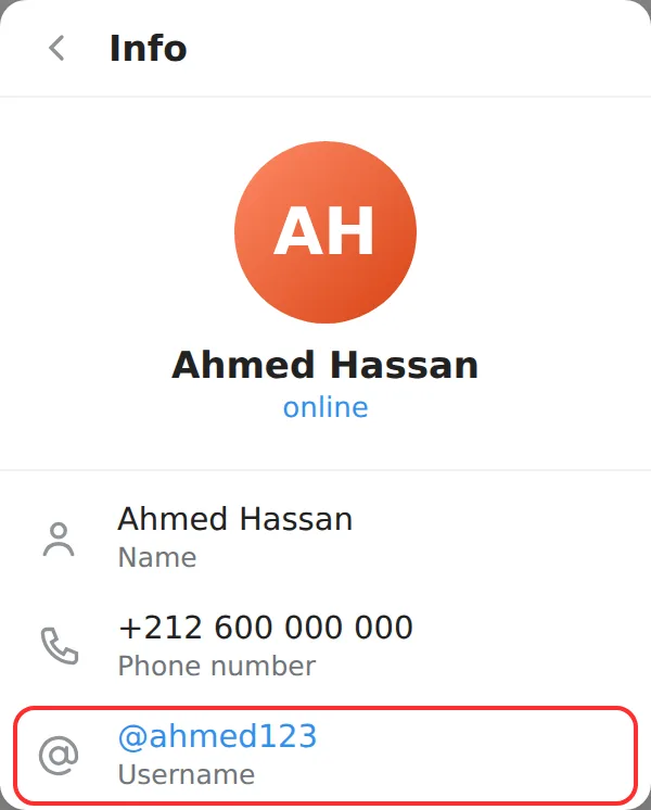 Profil Telegram avec la ligne « Nom d'utilisateur » mise en évidence : @ahmed123